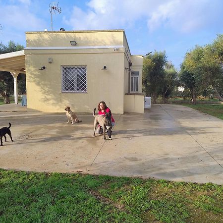Villa Mios مورو ليتشيزي المظهر الخارجي الصورة