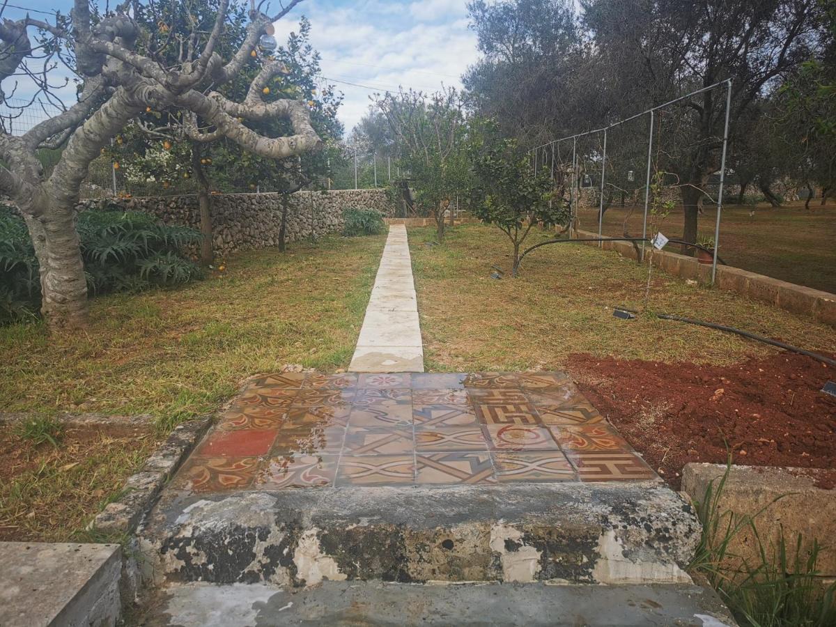 Villa Mios مورو ليتشيزي المظهر الخارجي الصورة