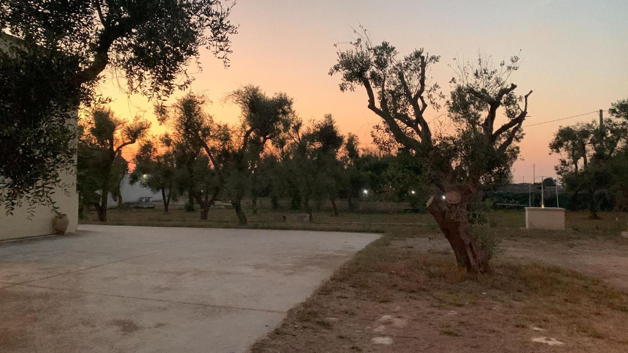 Villa Mios مورو ليتشيزي المظهر الخارجي الصورة