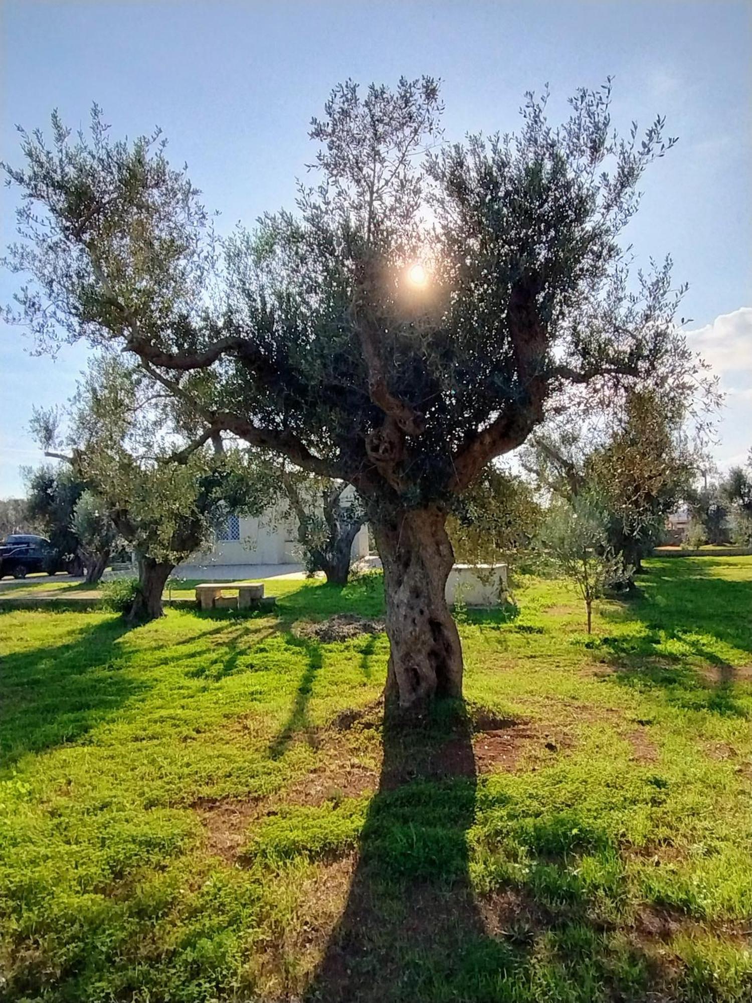 Villa Mios مورو ليتشيزي المظهر الخارجي الصورة