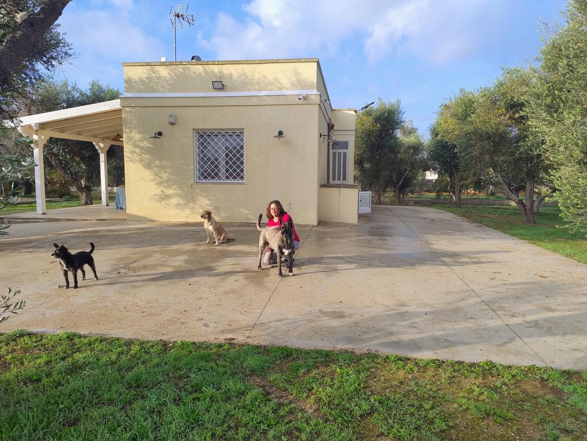 Villa Mios مورو ليتشيزي المظهر الخارجي الصورة